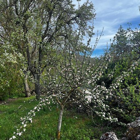 El Pecu Casa Rural Starfamiliar Bustillo Del Paramo Dış mekan fotoğraf