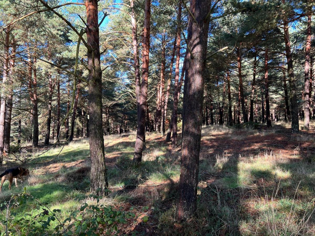 El Pecu Casa Rural Starfamiliar Bustillo Del Paramo Dış mekan fotoğraf