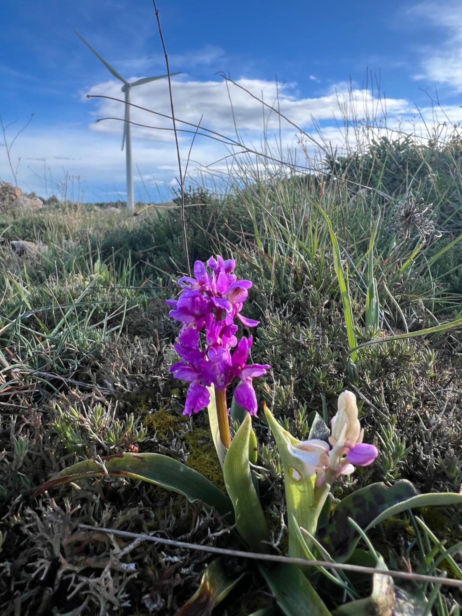 El Pecu Casa Rural Starfamiliar Bustillo Del Paramo Dış mekan fotoğraf