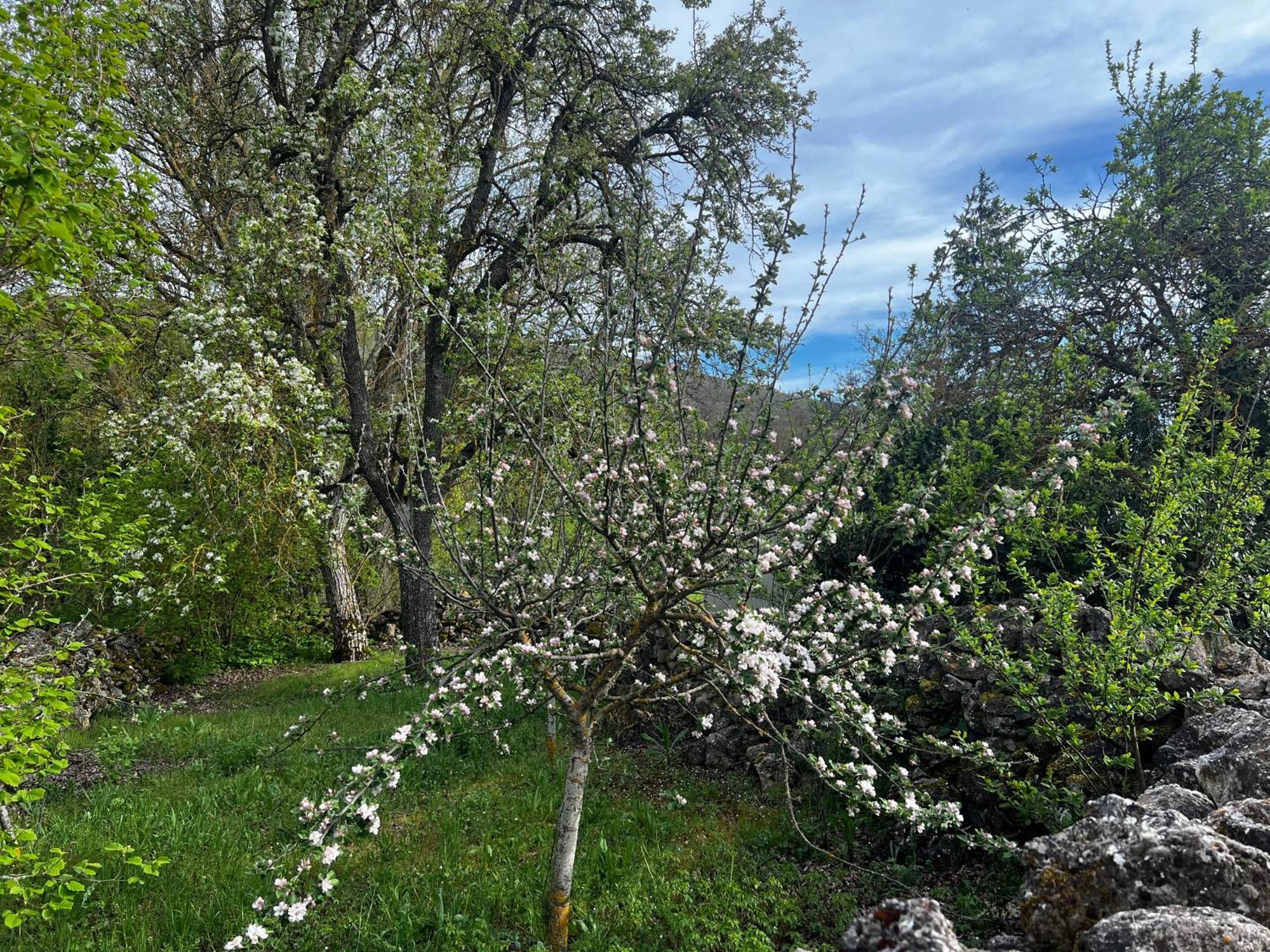 El Pecu Casa Rural Starfamiliar Bustillo Del Paramo Dış mekan fotoğraf